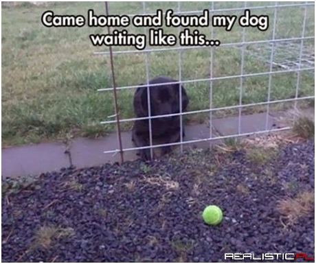 Came home...