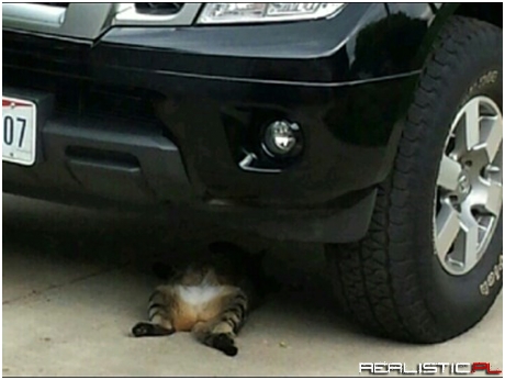Can Somebody Hand me a Monkey Wrench