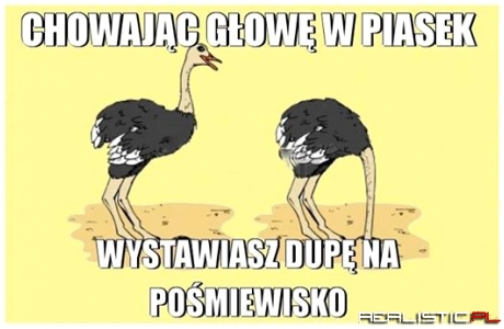 Chowając głowę w piasek