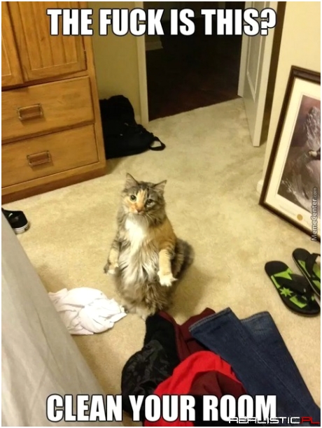 Clean your room