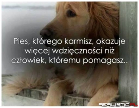Czasem tak bywa