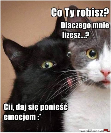 Daj sie ponieść emocjom