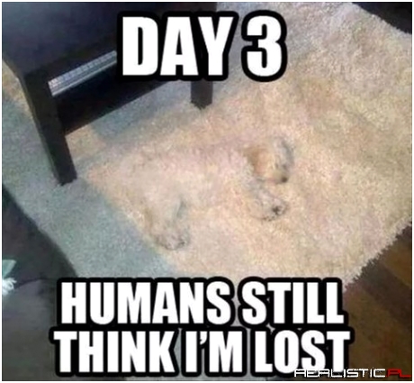 Day 3