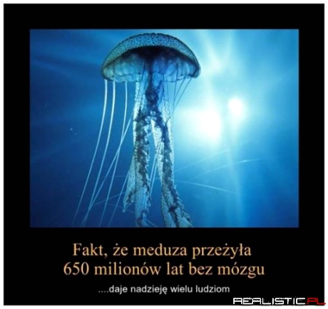 Dobra wiadomość