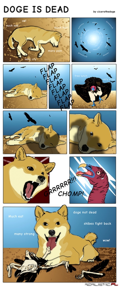 Doge is dead