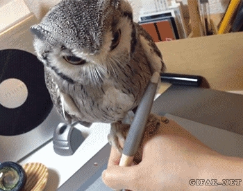 Don't Mind Me...Just Keep on Drawing
