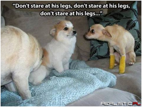 Don't stare at his legs