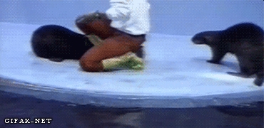 Don't Tell ME to do Tricks for my Food!