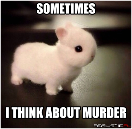 Don't Trust That Fluff