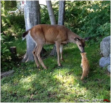 Don't Worry...I'm Not That Kind of Hunter