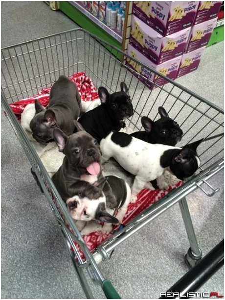 Excuse Me, Which Aisle are Those On
