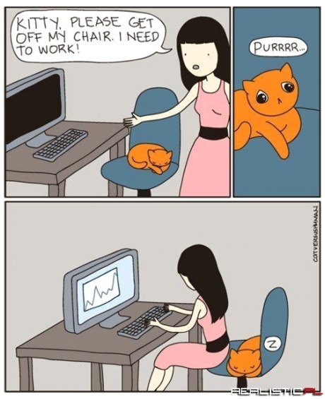 Fair Enough, Kitty