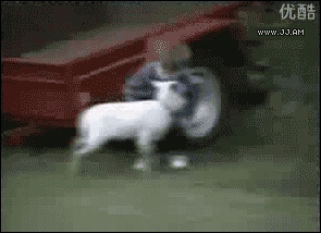 Finish him