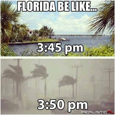 Florida - The Redheaded Stepchild State