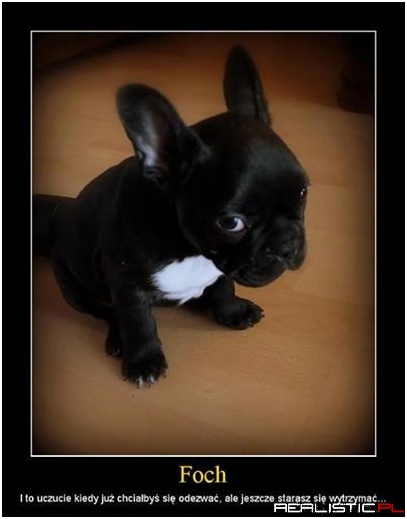 Foch
