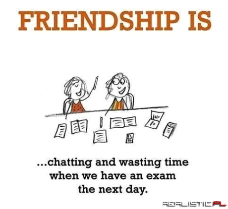 Friendship