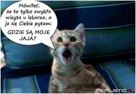 Gdzie są moje jaja