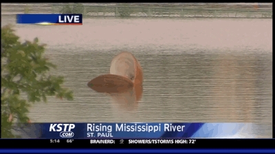 Giant Clamshell Floating Down the Mississippi River