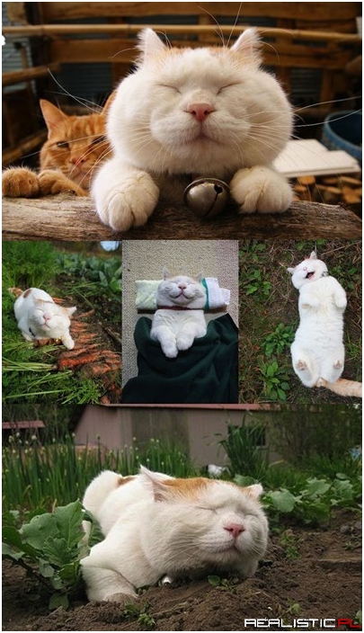 Have a Relaxing Weekend