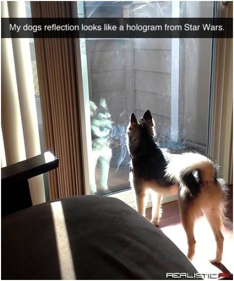 Help Me, Doggi-Wan Kebarki...You're My Only Hope