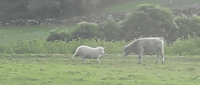 Here I Come! Watch Out!