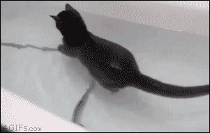 He