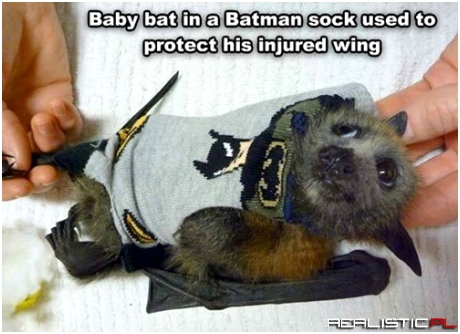 He's My Hero
