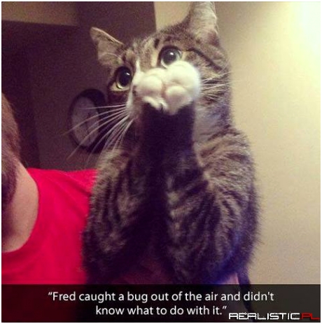 His face says it all