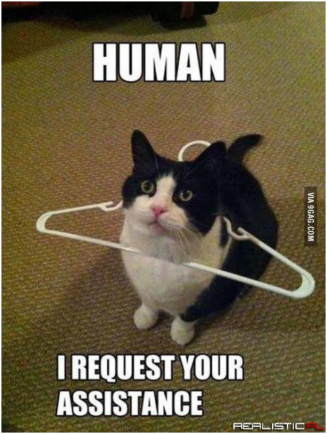 Human