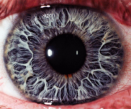 Human eye