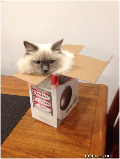 I Fits, I Squeezes