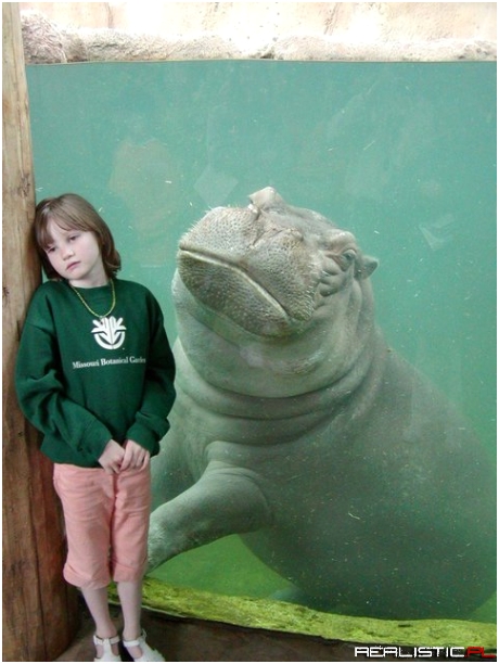 I found my spirit animal at a very young age