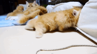 I Need More Cozy!