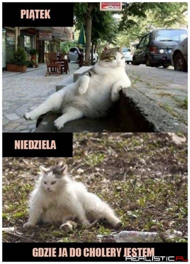 I tak co tydzień