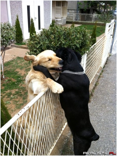 I'll be Home in Time for Dinner, Honey