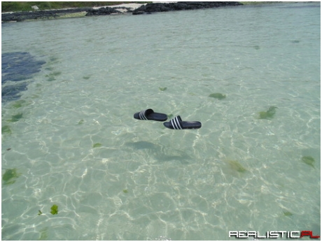 Invisible jesus takes the world by storm