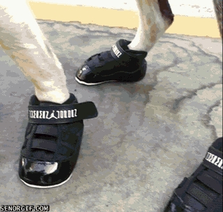 Is It The Shoes