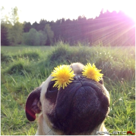 It Looks Like Spring!