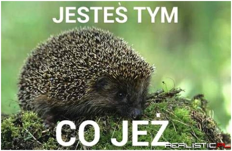 Jesteś tym...