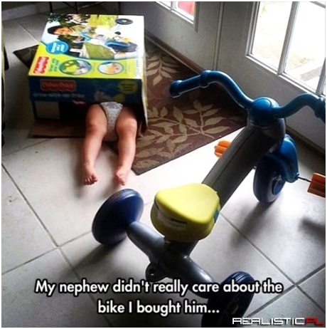 Kids Are Like Cats