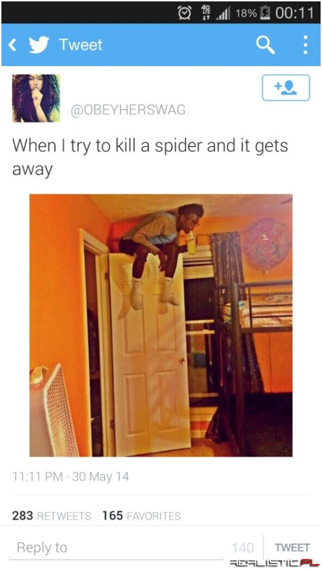 Kill a spider