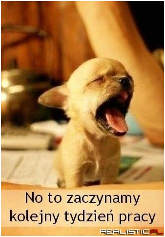 Kolejny tydzień