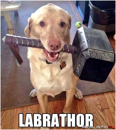 Labrathor