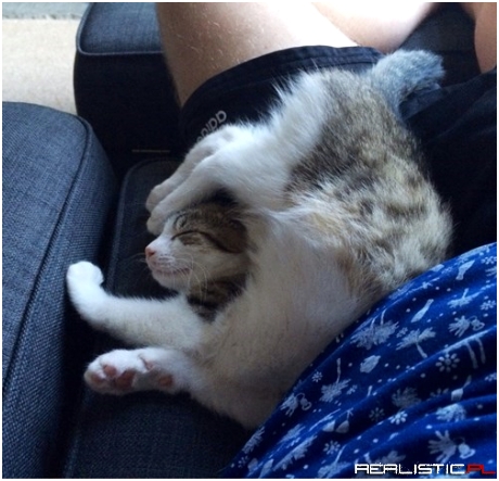 Looks Comfy...