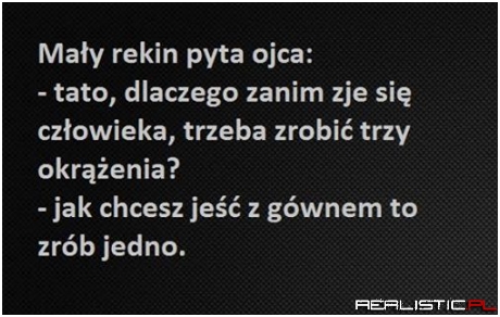 Mały rekin