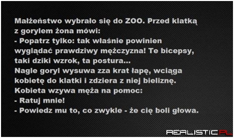 Małżeństwo w zoo