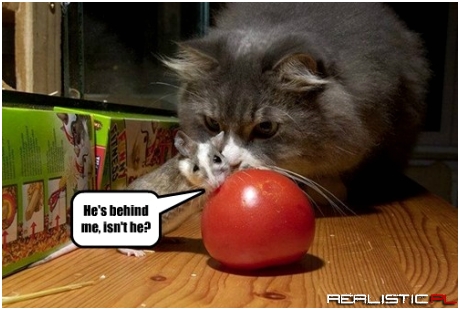 Maybe He Just Wants the Tomato...