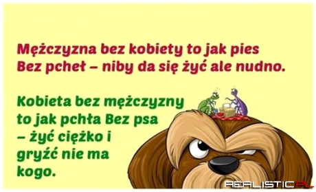 Mężczyzna bez kobiety ...