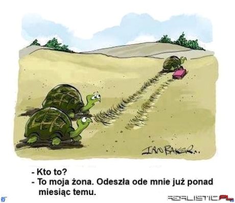 Moja żona