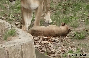 Mom! You're Supposed to Grab the Other End!